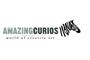 Amazing Curios logo