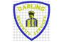 Darling Security Services logo