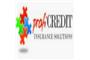 ProfiCredit Insurance Solutions logo