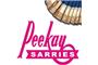 Peekay Sarries logo