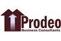 Prodeo Business Consultants logo