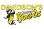 Davidsons Discount Boards Ottery logo