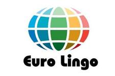 Euro Lingo image 1