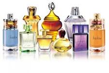 the house of perfumes image 5