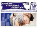 Famous Cleaning Services image 2