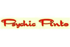 Psychic Pinto image 1