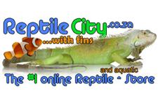 ReptileCity.co.za image 7