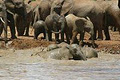 Addo Elephant Country Estate image 6