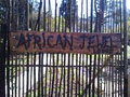 African Jewel Lodge image 4