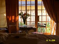 African Silhouette Guesthouse image 6