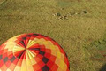Air Ventures Hot Air Ballooning image 4