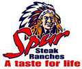 Apache Peak Spur logo