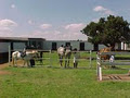 Blue Moon Riding and Livery Stables cc image 2