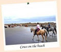 Cher a Don Mkulu Kei Horse Trails image 3
