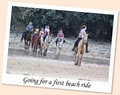 Cher a Don Mkulu Kei Horse Trails image 5