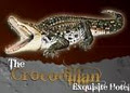 Crocodilian logo