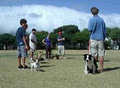 Dog Obedience Centre image 4
