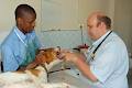 Durban North Veterinary Clinic image 4