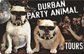 Durban Party Animal Tours logo