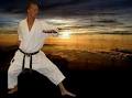 Dynamic Karate Incoporated image 3