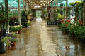 Eldo Falls Garden Centre & Restaurant image 2