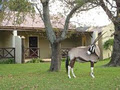 FRANSCHHOEK COUNTRY COTTAGES AND WILDLIFE RESERVE image 2