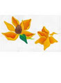 Flower Babies logo