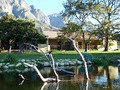 Franschhoek Country Cottages image 6