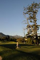 George Golf Club image 5