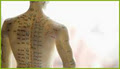 Going Green Acupuncture image 2
