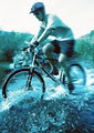 Greyton Bicycle Hire image 1