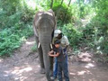 Hazyview Elephant Sanctuary image 1