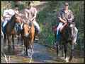Hollybrooke Farms Horse , Quad Trails , BB , Restaurant image 2