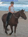 Horseback Beach Adventures image 1