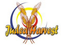 Judea Harvest image 2