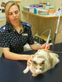 Kilner Park Veterinary Clinic image 5