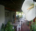 Lily Guesthouse image 1