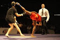 Liwu Martial Arts image 2