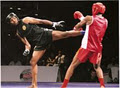 Liwu Martial Arts image 1