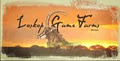 Loskop Game Farms (Pty) Ltd. logo