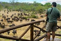Lukimbi Safari Lodge image 3
