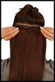 Lumi Style Hair Extension Distribution & Training image 4