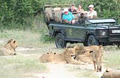 Mohlabetsi Safari Lodge image 3