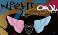 Night Owl Creations CC logo