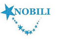 Nobili and Associates International logo