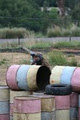 Point Blank Paintball image 6