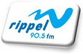 Radio Rippel 90.5 FM image 2