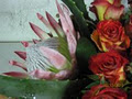 Rhubarb Flower Company image 4