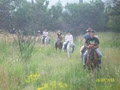 Saddle Creek Ranch image 4