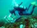 Scuba Diving Cape Town image 4